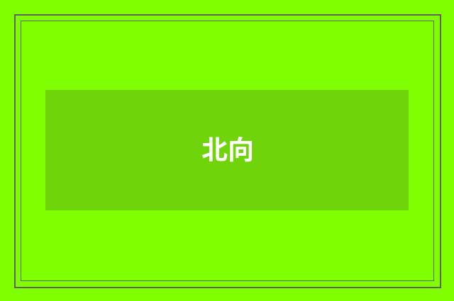 北向