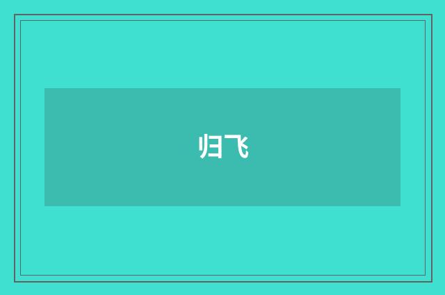 归飞