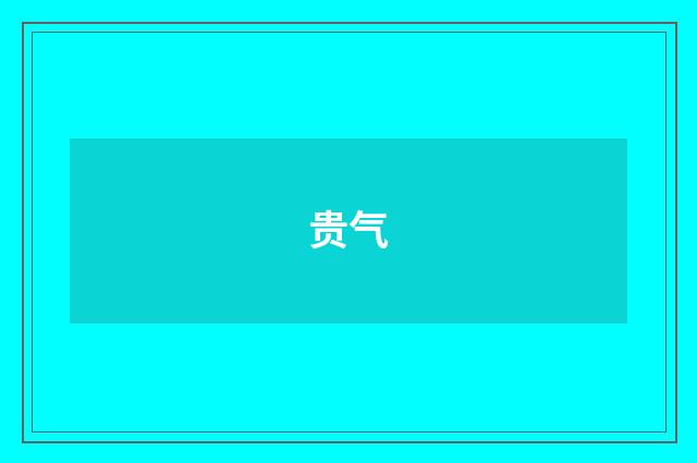贵气