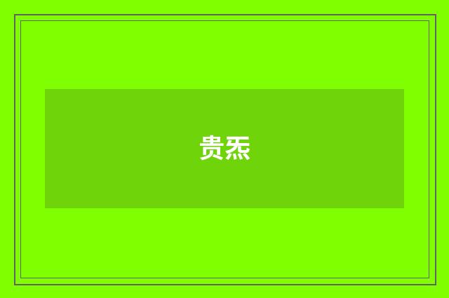 贵炁