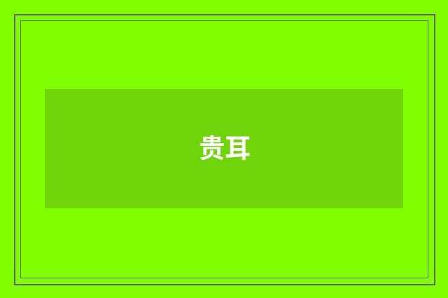 贵耳