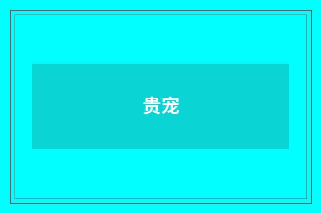 贵宠