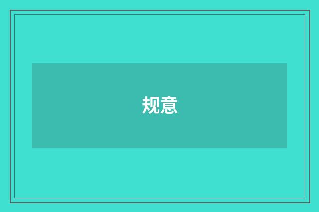 规意