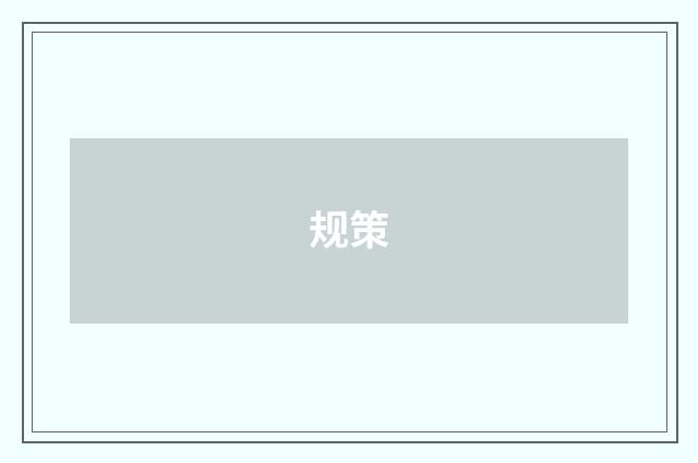 规策