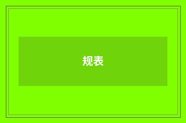 规表