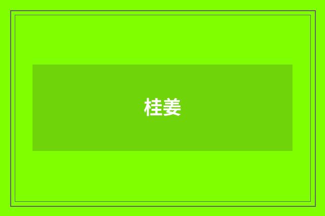 桂姜