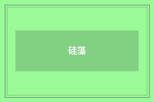 硅藻