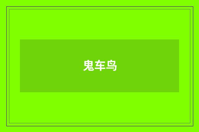 鬼车鸟
