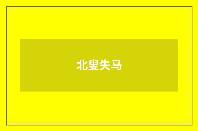 北叟失马