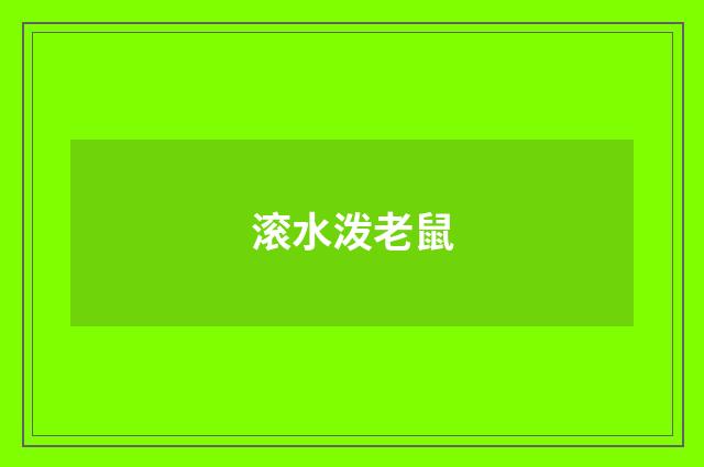 滚水泼老鼠