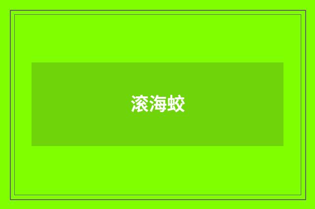 滚海蛟