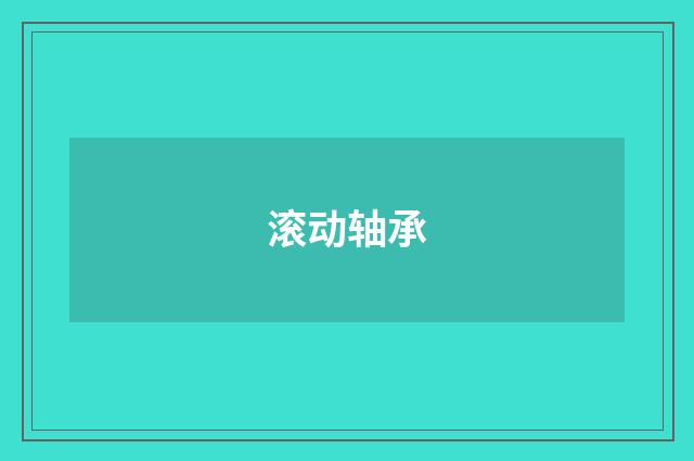 滚动轴承