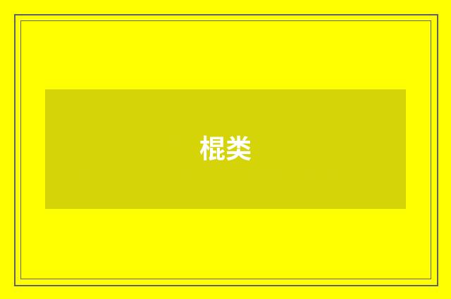 棍类