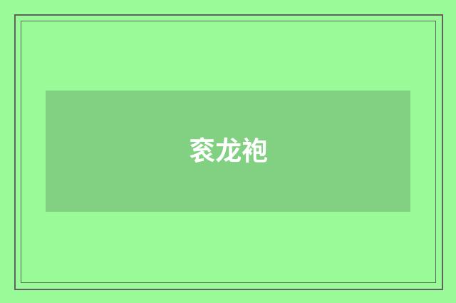 衮龙袍