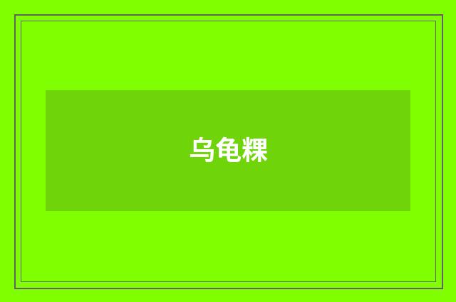 乌龟粿