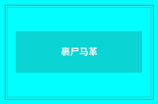 裹尸马革