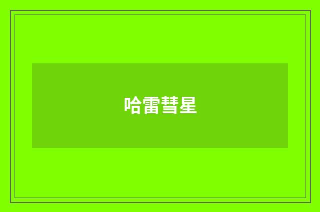 哈雷彗星