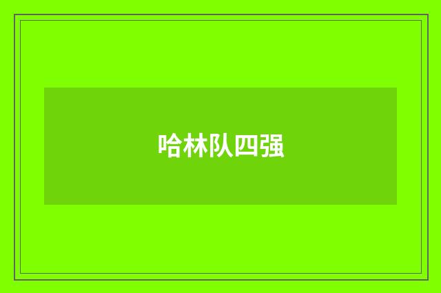 哈林队四强