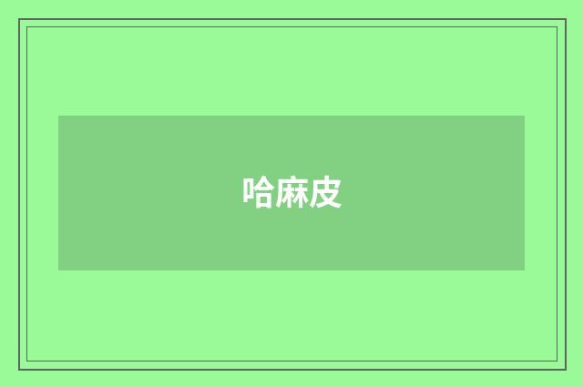 哈麻皮