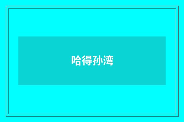 哈得孙湾