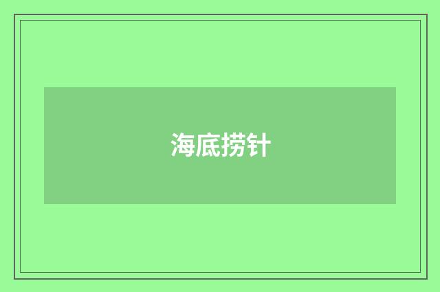 海底捞针