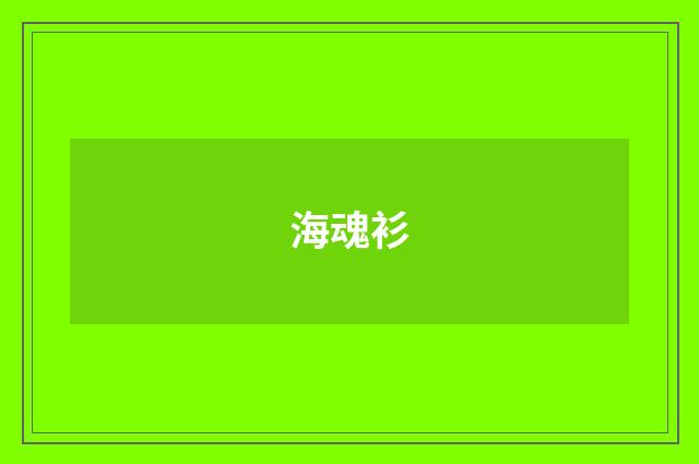 海魂衫