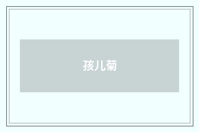 孩儿菊