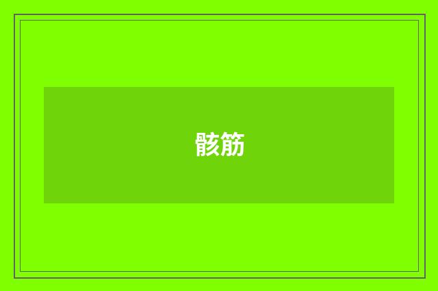 骸筋