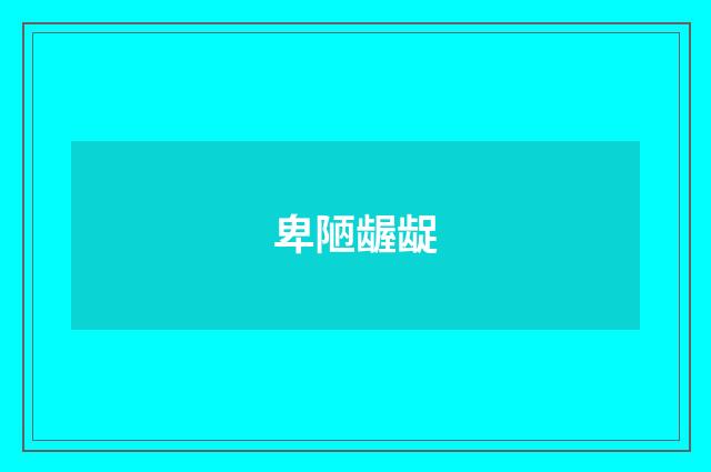 卑陋龌龊