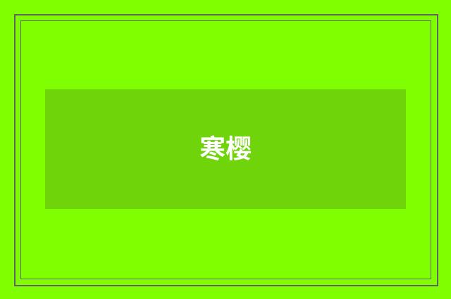 寒樱