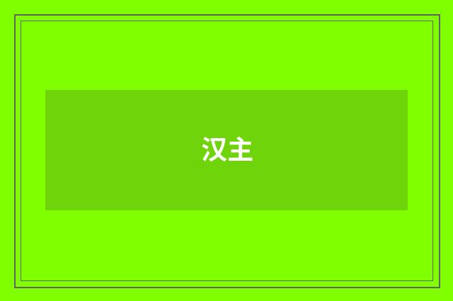 汉主