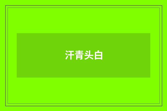 汗青头白
