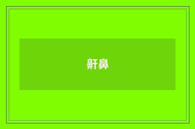 鼾鼻