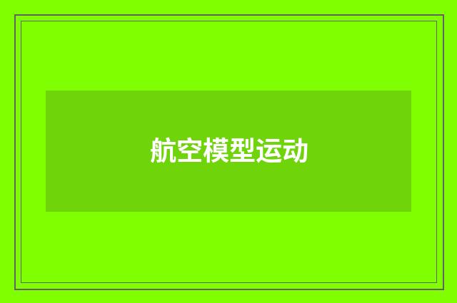 航空模型运动