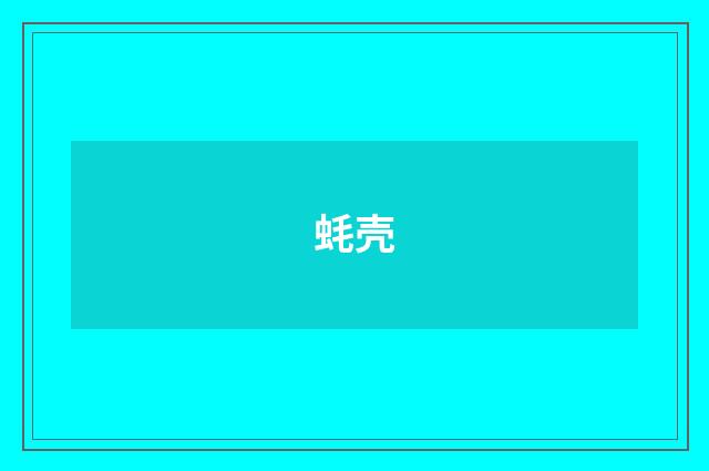 蚝壳