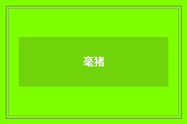 毫猪