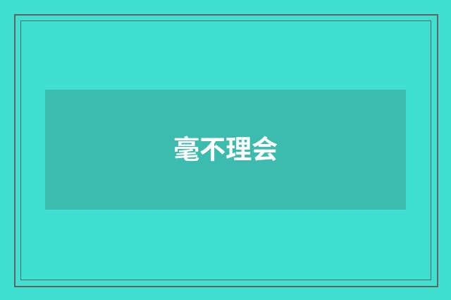 毫不理会