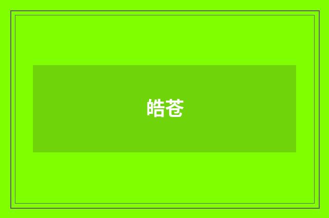 皓苍