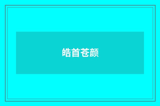 皓首苍颜
