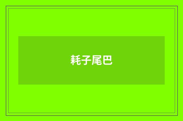 耗子尾巴