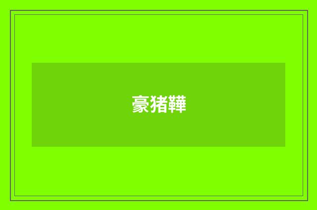 豪猪鞾