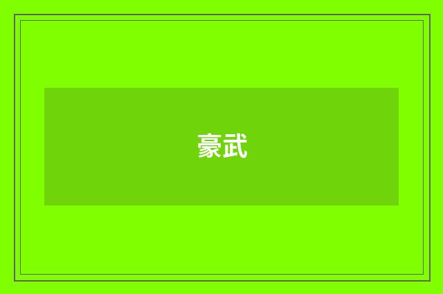 豪武