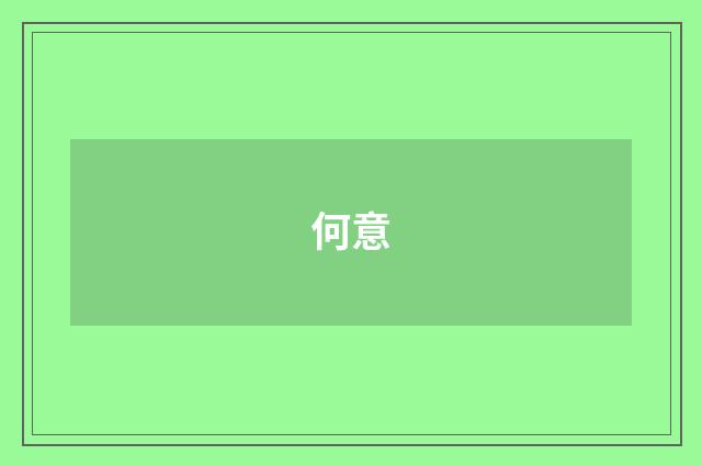 何意