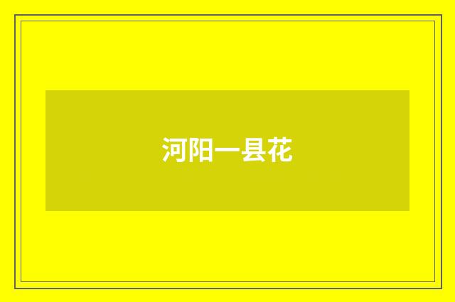 河阳一县花