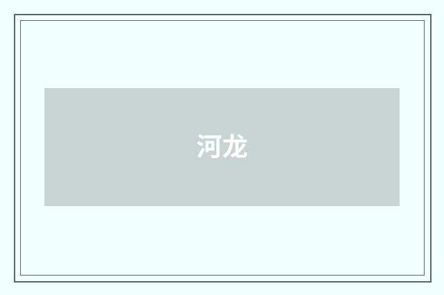 河龙