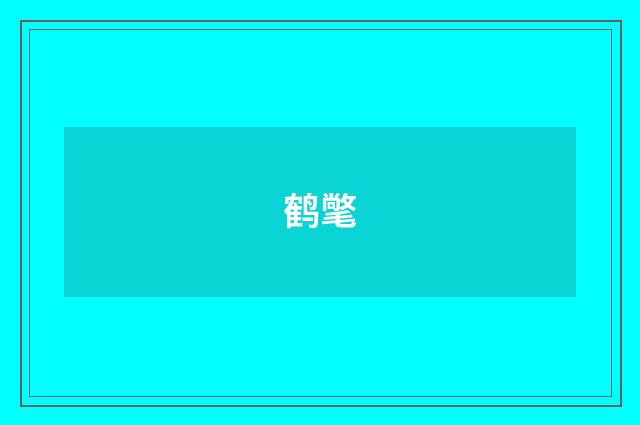 鹤氅