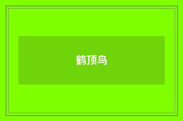 鹤顶鸟