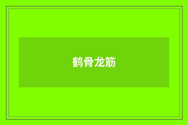 鹤骨龙筋