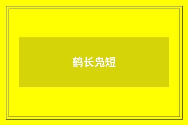 鹤长凫短