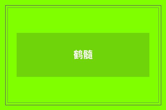 鹤髓